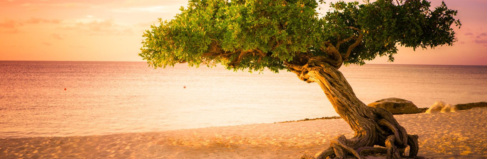 zen met mindfulness leven